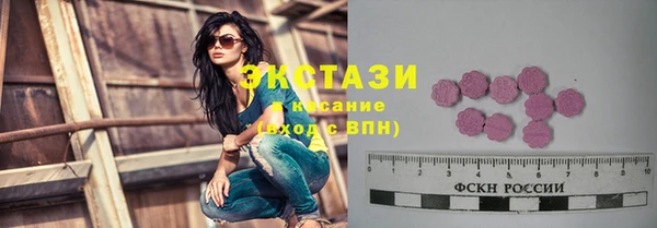МДПВ Каменка