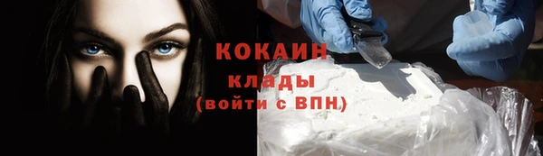 МДПВ Каменка