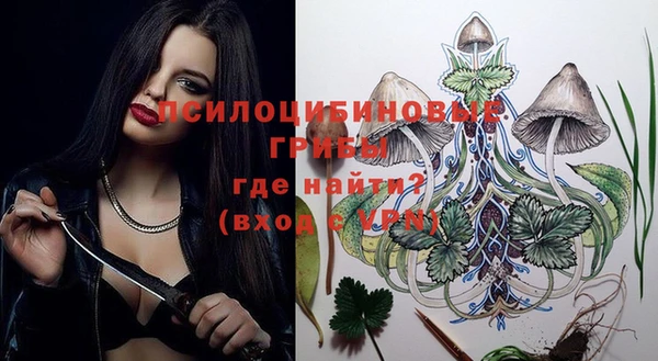 МДПВ Каменка