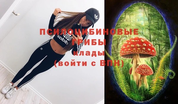 МДПВ Каменка