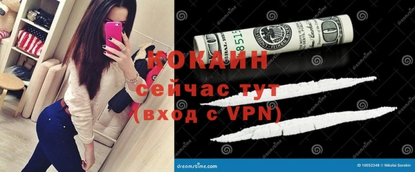 МДПВ Каменка