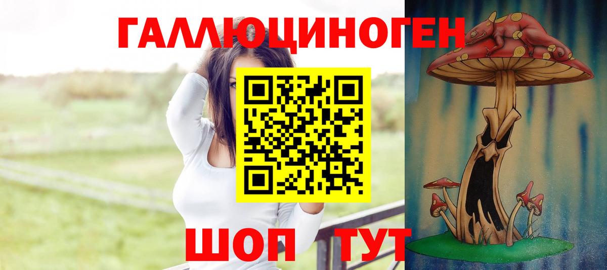 Псилоцибиновые грибы GOLDEN TEACHER Каменка