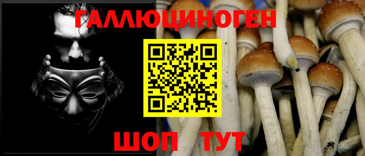 Псилоцибиновые грибы мухоморы  Вход с VPN  Каменка 