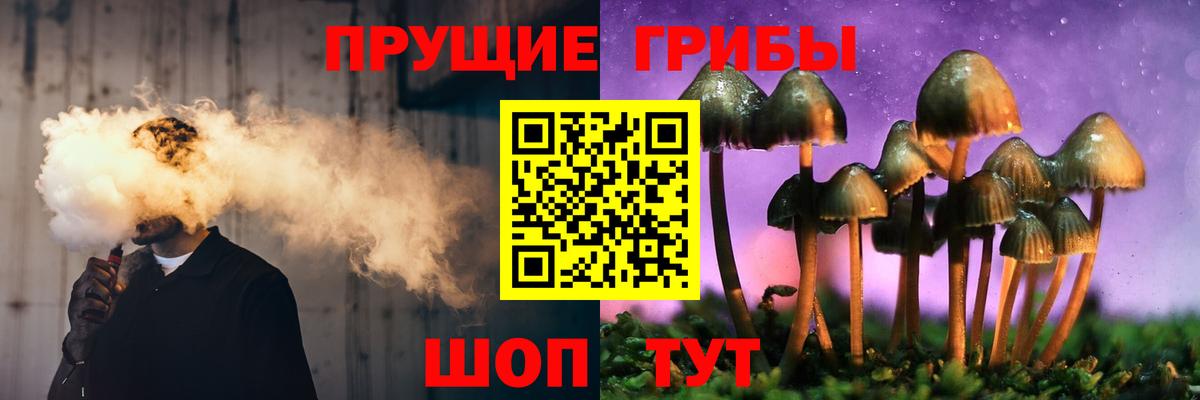 Купить наркотики цена  МЕФ  КОКАИН  ГАШИШ  Мефедрон кристаллы  ЭКСТАЗИ  Каменка  Вход с VPN  Конопля 